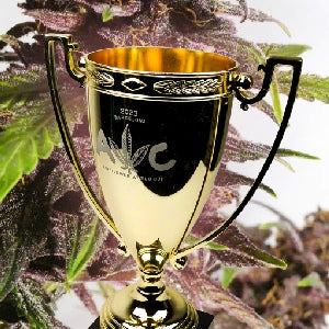 WORLD CANNABIS CUP